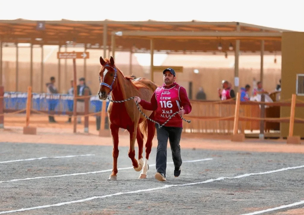Knights Cup for Endurance Al-Ula gallery